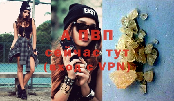 прущие крисы Аркадак