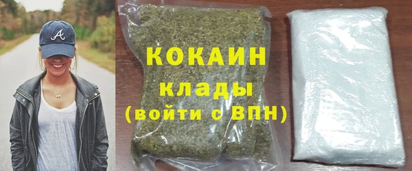дживик Костерёво