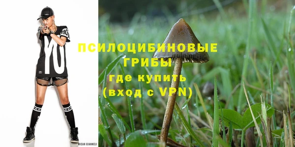 гашик Армянск